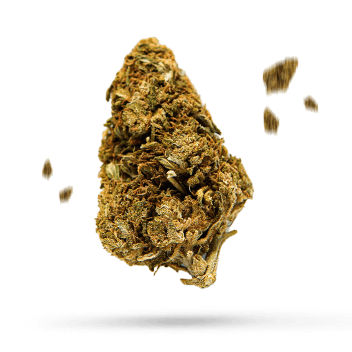 Bananium #2 Cannabisblüte