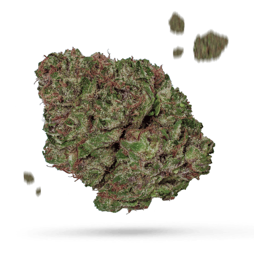 BC Big Bud Cannabisblüte