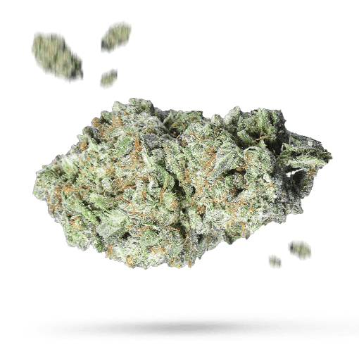 Black Bubba Cannabisblüte
