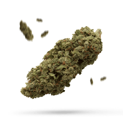 Black Skunk Cannabisblüte