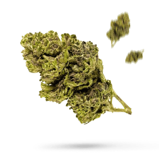Blue Afghani Cannabisblüte