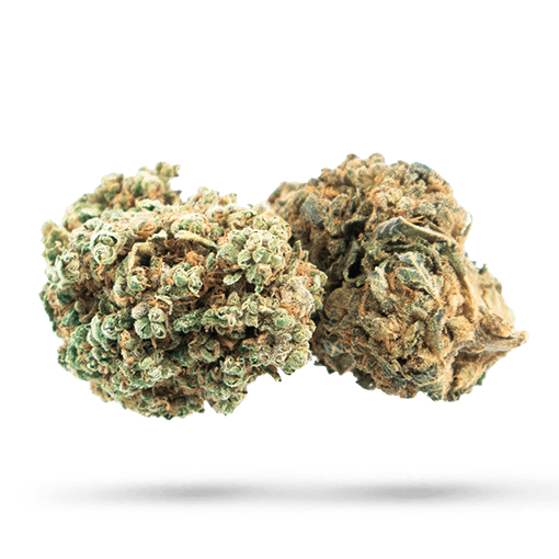 Blue Alien Cannabisblüte
