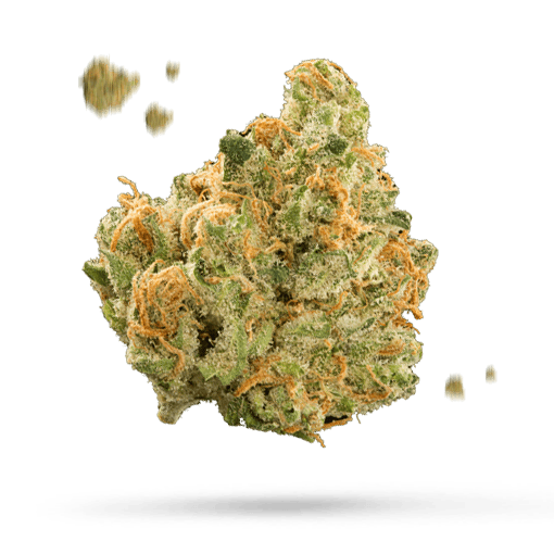 Blue Velvet Cannabisblüte