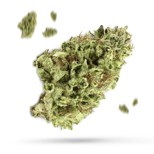 Blurple Cannabisblüte
