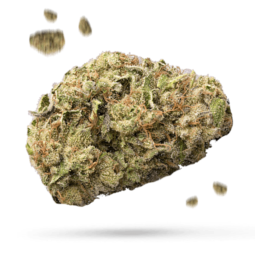 Bubba Diagonal Cannabisblüte