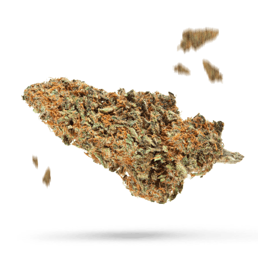 Central American Cannabisblüte