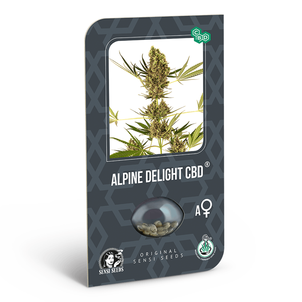 Alpine Delight CBD Automatische Cannabissamen