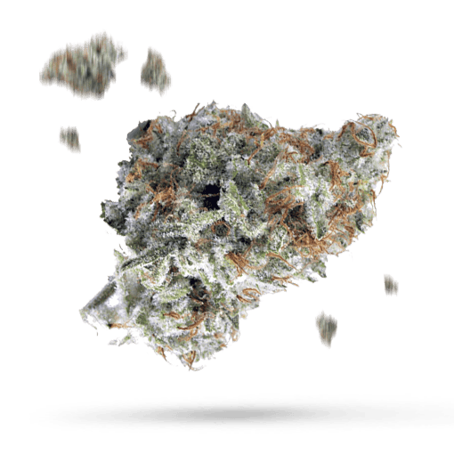 Chemdog #4 x Alien OG Kush Cannabisblüte