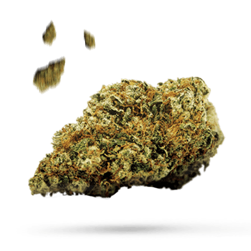 Citradelic Sunset Cannabisblüte