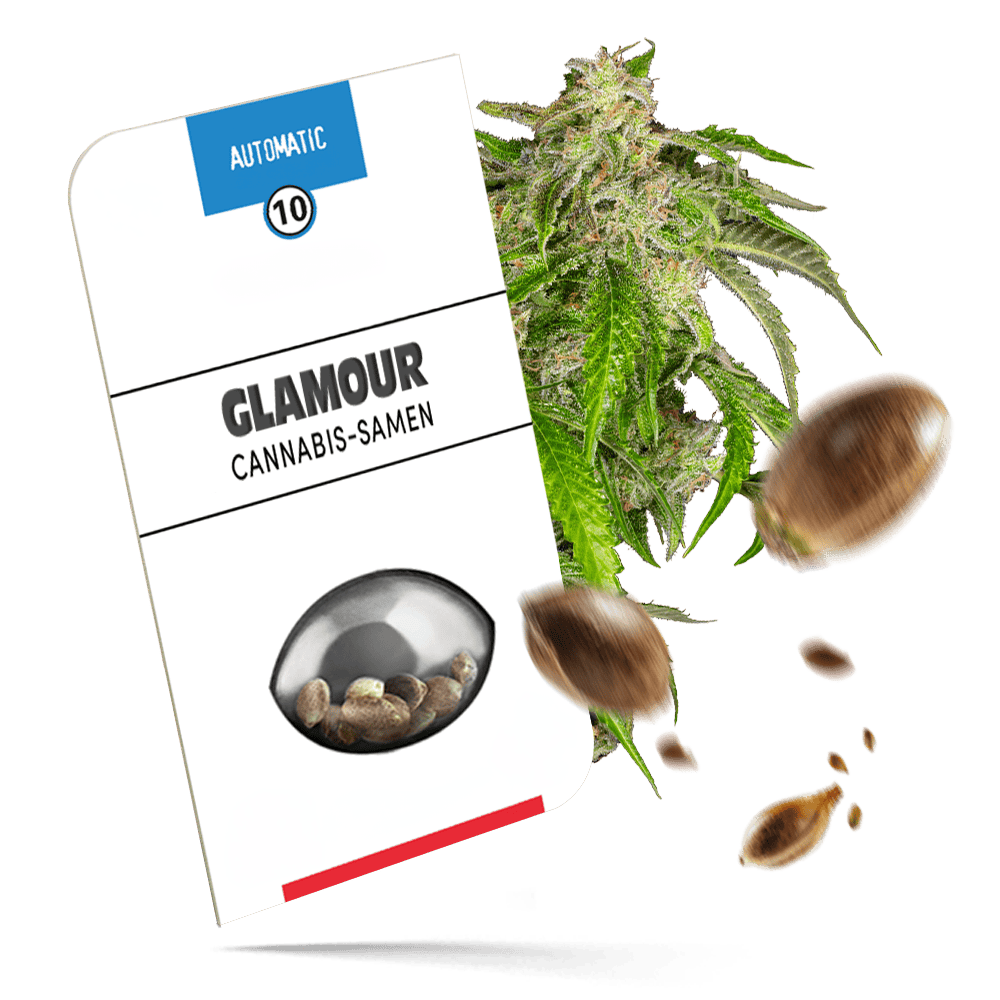 Glamour Automatic Cannabissamen