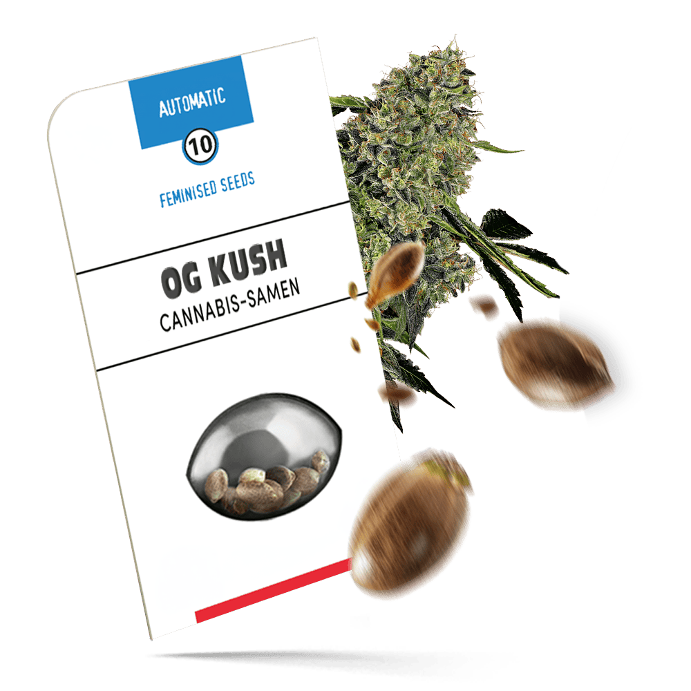 OG Kush Automatic Cannabissamen