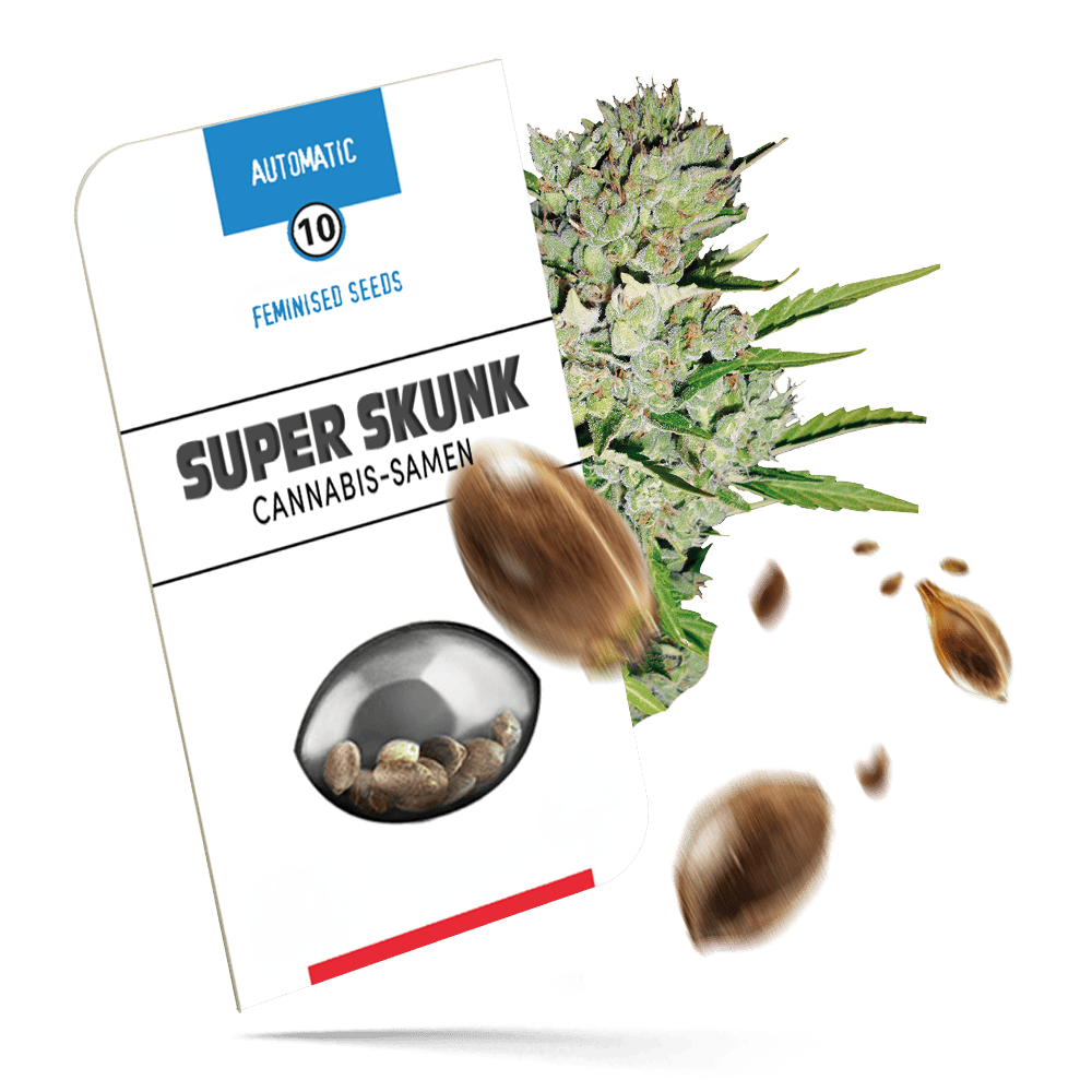 Super Skunk Automatic Cannabissamen