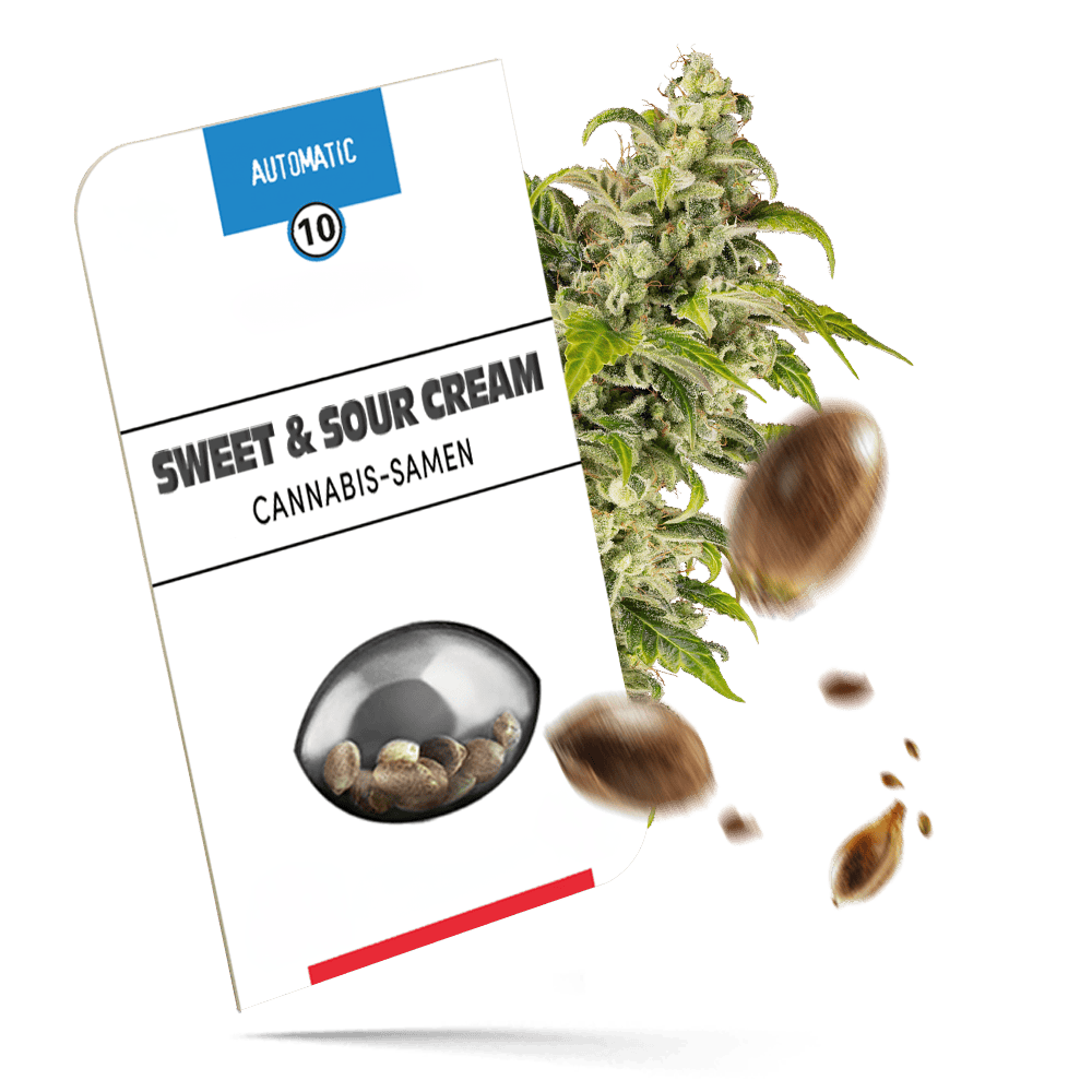 Sweet & Sour Cream Automatic Cannabissamen