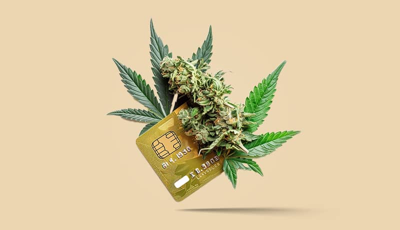 Cannabis kaufen - Menü