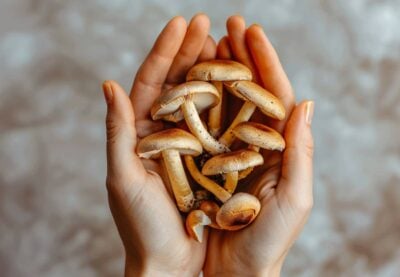 Psilocybin