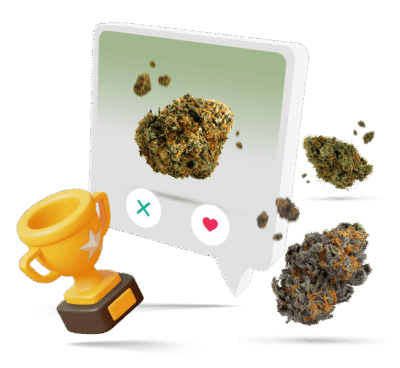 Beste Cannabissorte