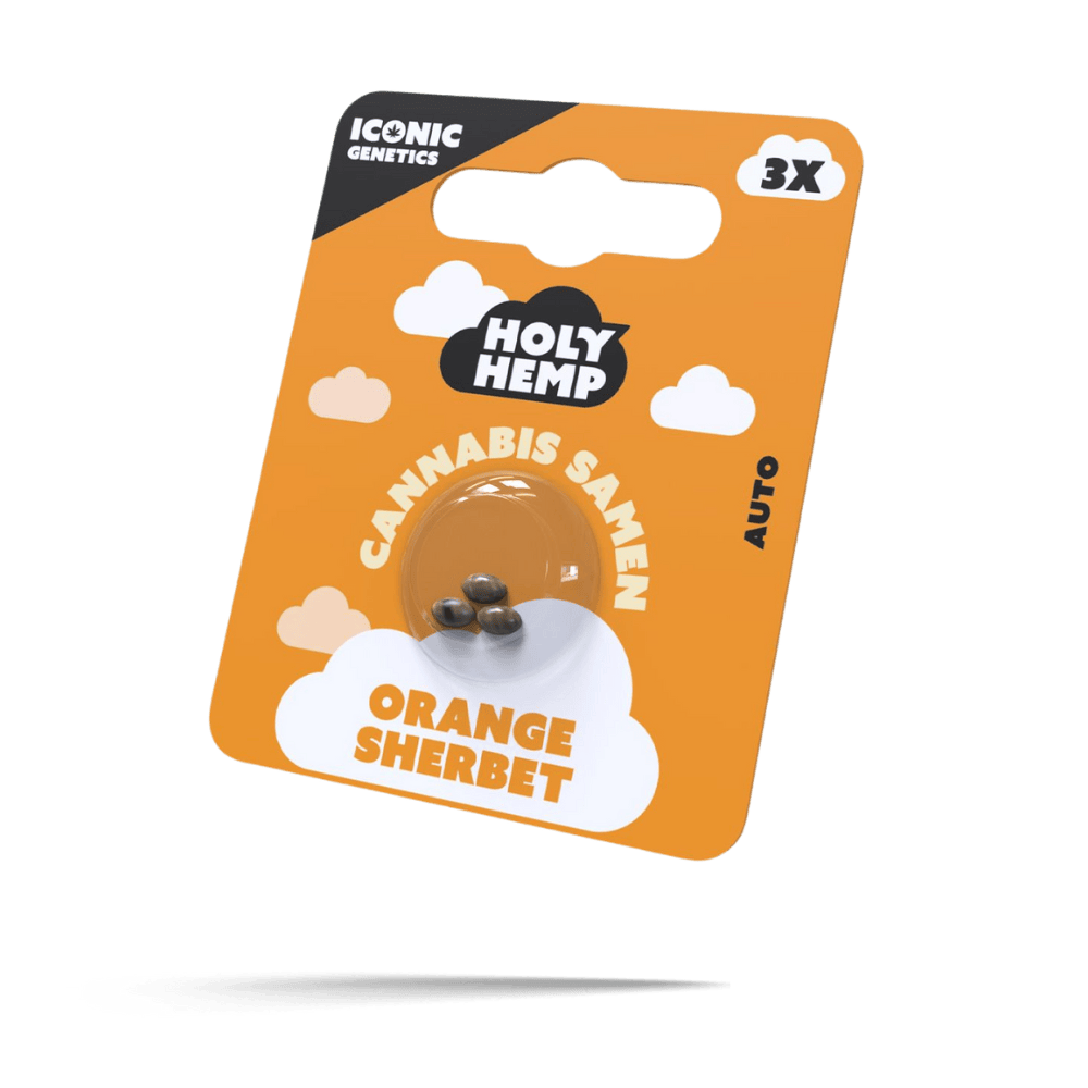 Orange Sherbet Cannabissamen Autoflower