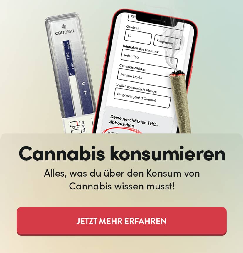 Cannabis konsumieren - Slider