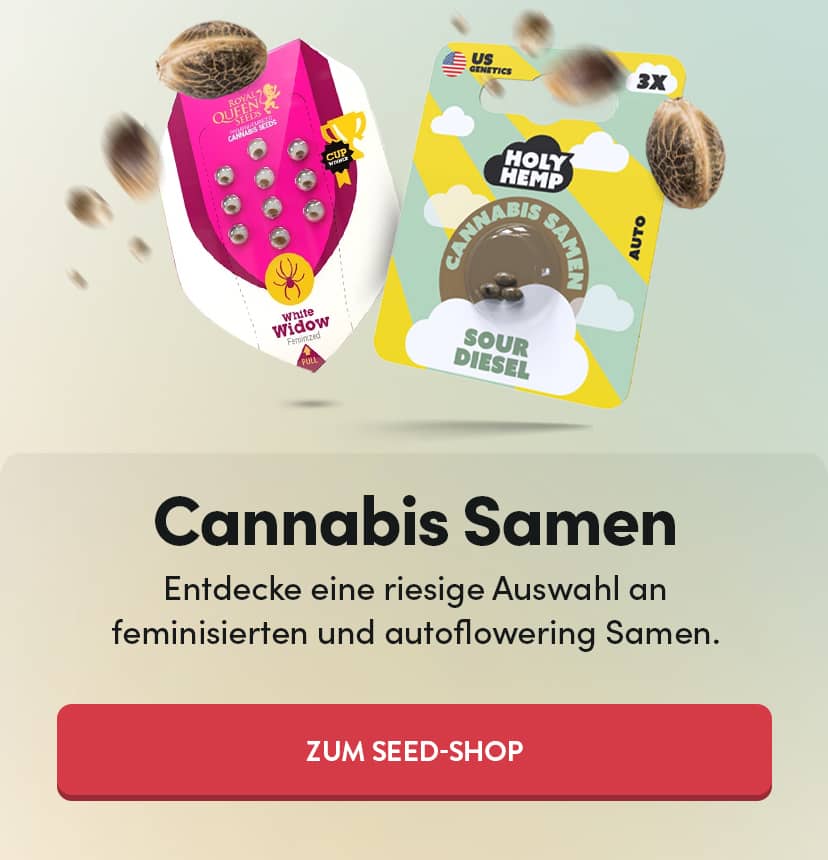 Cannabis Samen - Slider