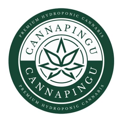 Cannabis Social Club Starnabis - Logo