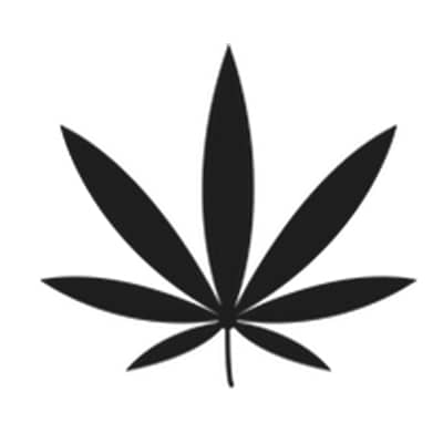 Cannabis Socialclub Wettenberg - Logo