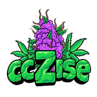 ccZise e.V. - Logo