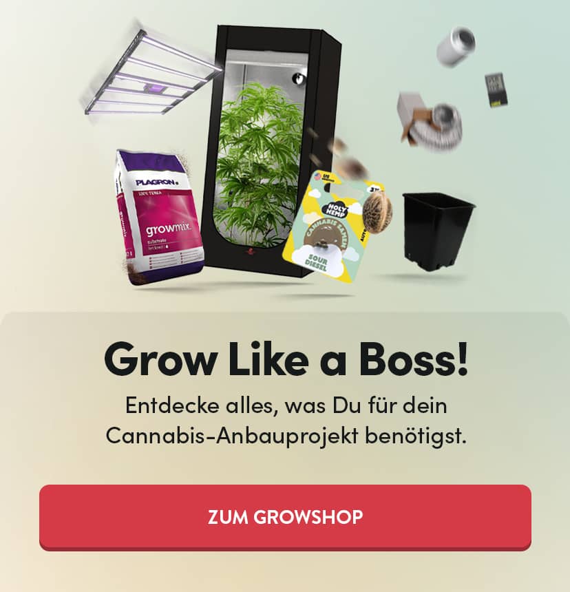 Growshop - Slider
