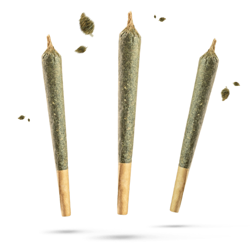 Flower Power 10-OH-HHC PreRolls Cookies