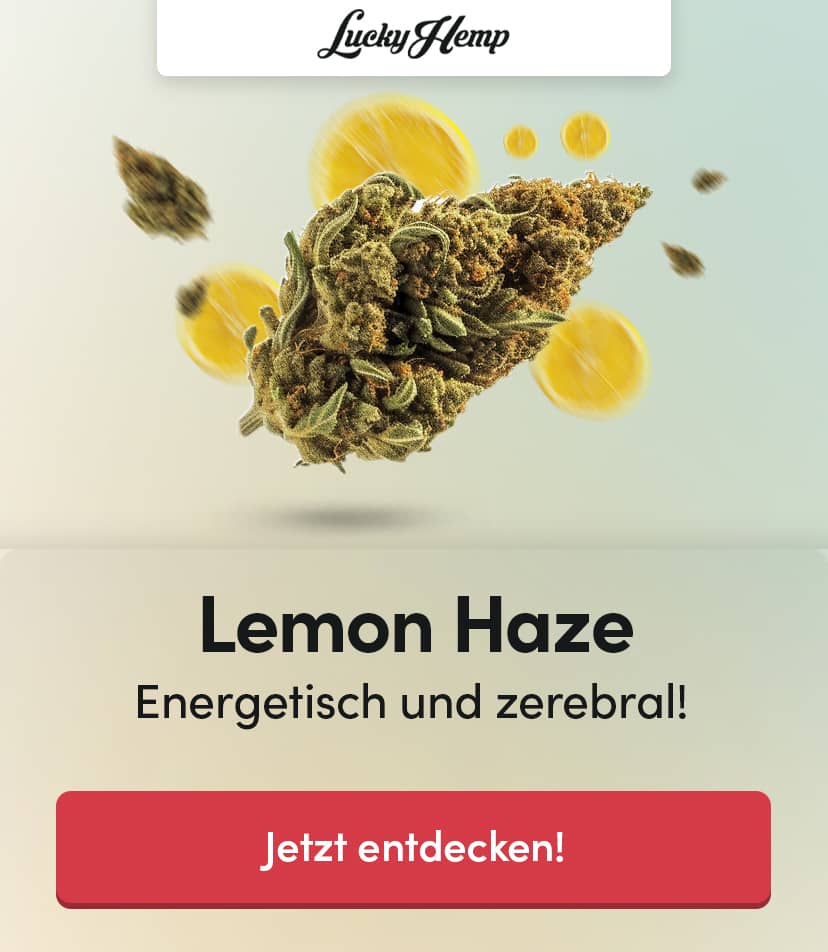 Lemon Haze Samen - Banner