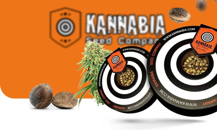 Kannabia - Titlebild