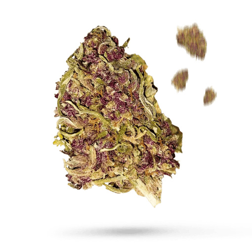 Weedforfriends Purple Haze 10-OH-HHC Blüten