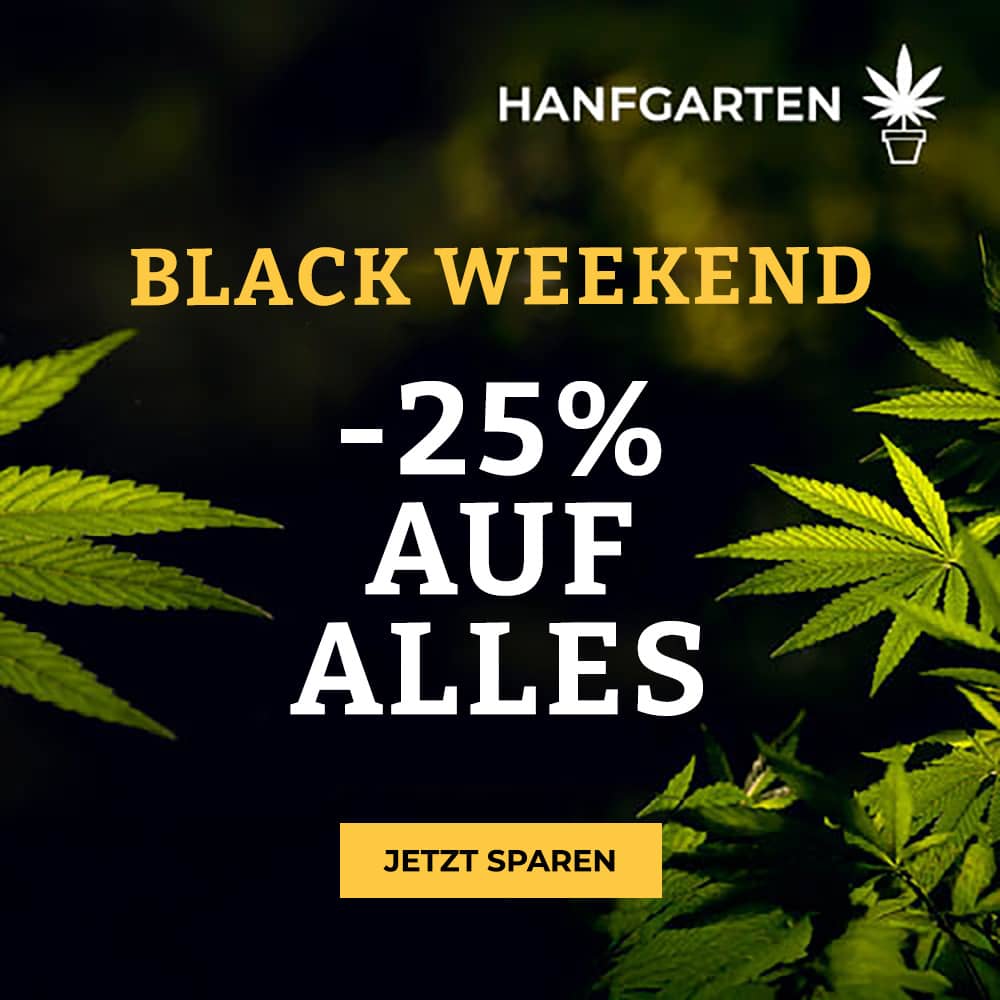 Hanfgarten Deals am Black Weekend