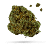 3 Kings - Cannabissorte