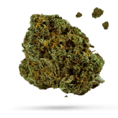3 Kings - Cannabissorte