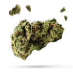 303 Kush - Cannabissorte