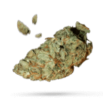 541 Kush - Cannabissorte