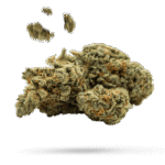 5th Element - Cannabissorte