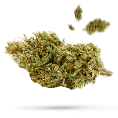 8 Ball Kush - Cannabissorte
