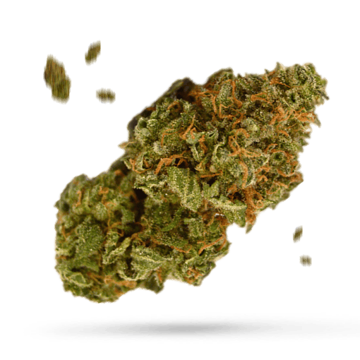 805 Glue - Cannabissorte