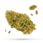 92 OG - Cannabissorte