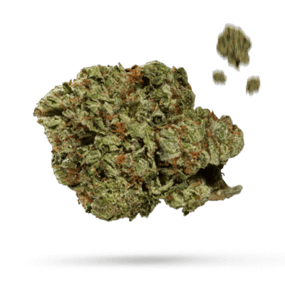 98 Aloha White Widow - Cannabissorte