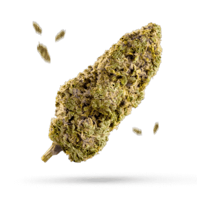 Ace Killer OG - Cannabissorte