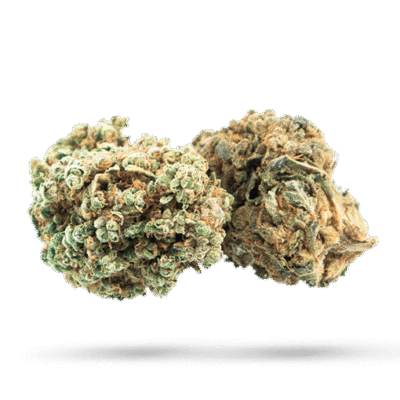 Afghan Diesel - Cannabissorte
