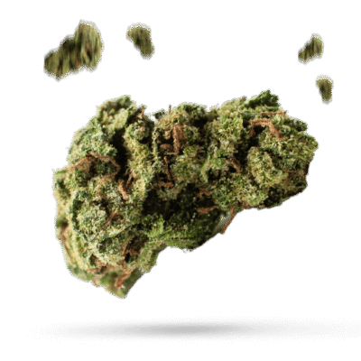 Afghan Hawaiian - Cannabissorte