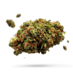 Afghani Grapefruit - Cannabissorte