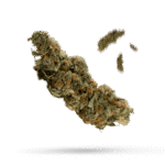 Afterglow - Cannabissorte