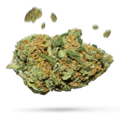 Alien Pebbles - Cannabissorte