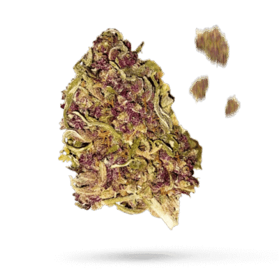 All Gas OG - Cannabissorte