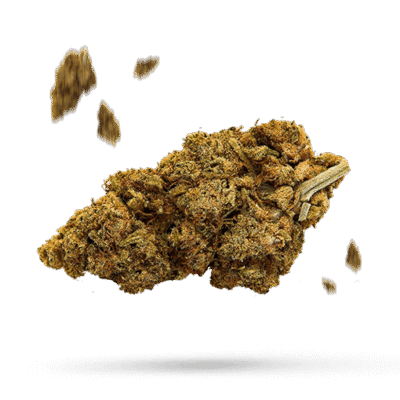 Alley Cat Kush - Cannabissorte