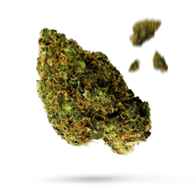 Alohaberry - Cannabissorte